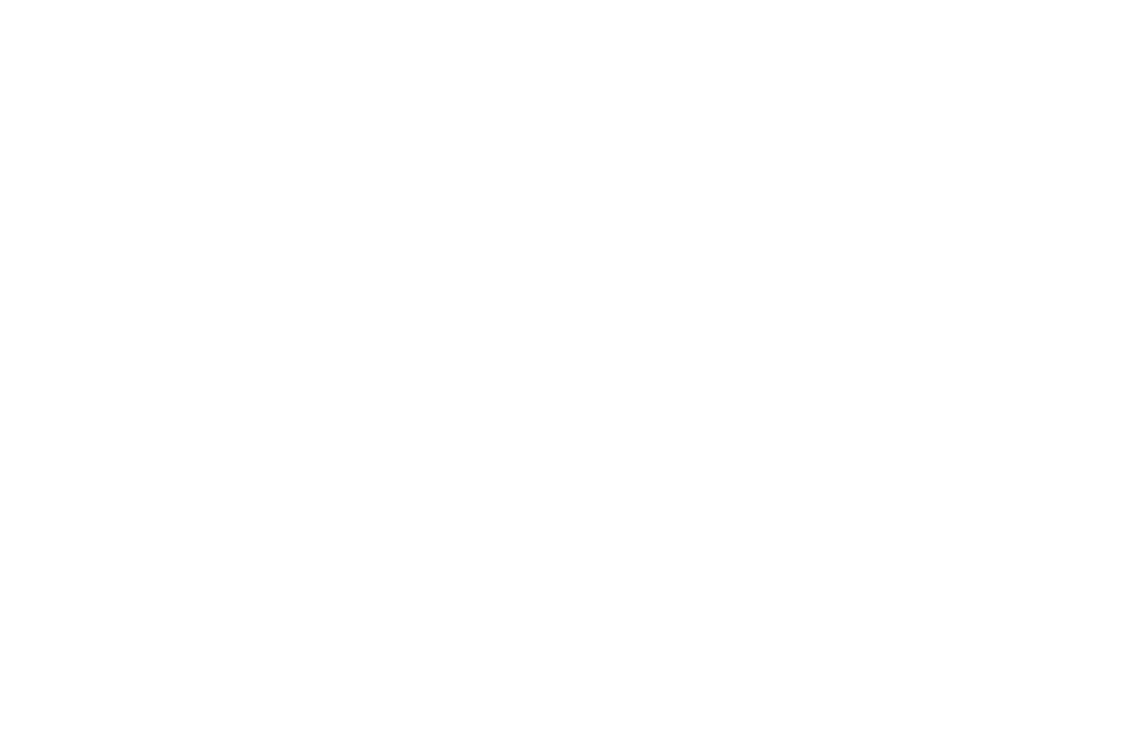 Wyoming Arms