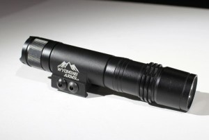 fenix pd35, light body, picatinny rail